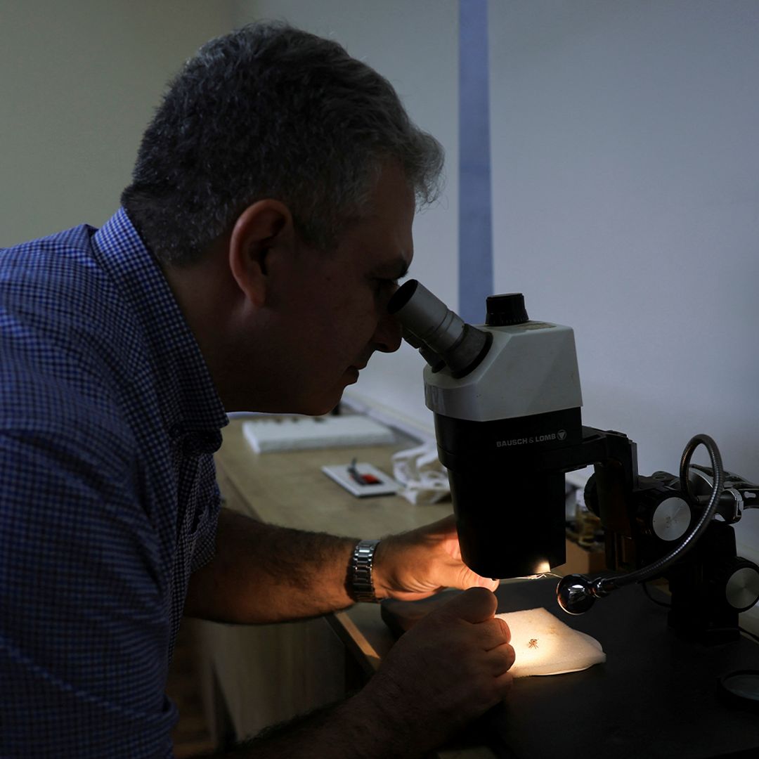 Así Es el PelV-1, un Virus 'Gigante' con la Cola Más Larga Jamás Observada